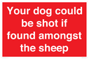 your-dog-could-be-shot-if-found-amongst-the-sheep~